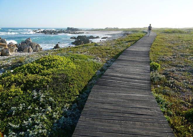 Agulhas national park