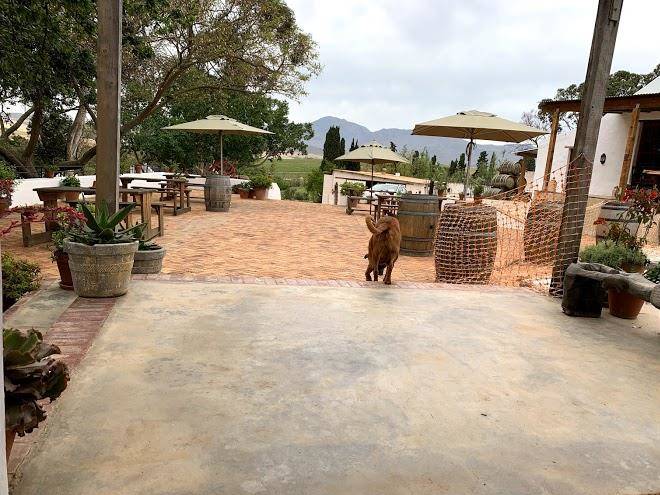 Beaumont family wines