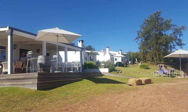 Paul wallace wines