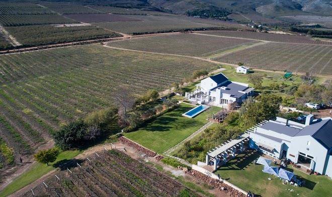 South hill vineyards