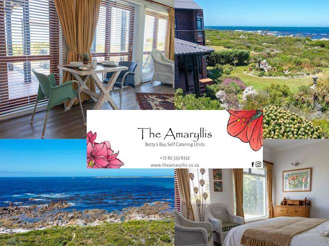 The amaryllis
