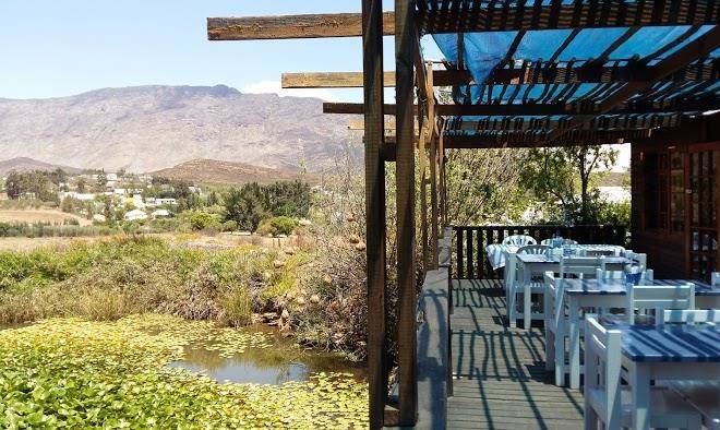 The blue cow at the barrydale waterfront