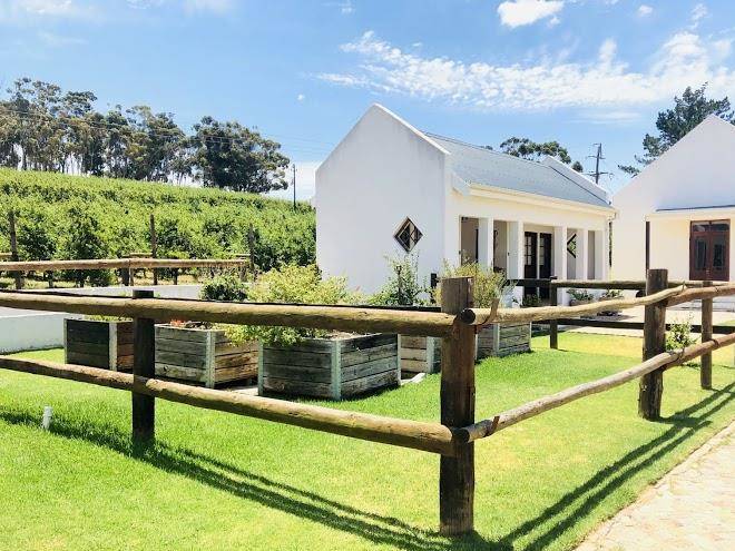 Wildekrans wine estate