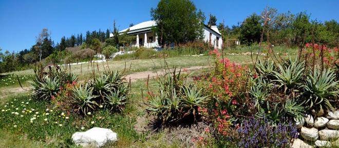 Wolfkloof Boerdery Image