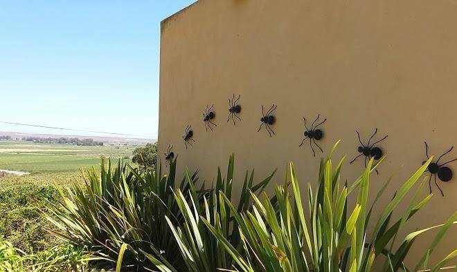 22 nama karoo bed and breakfast cc