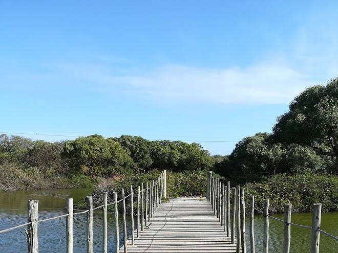 Grootvlei guest farm lamberts bay