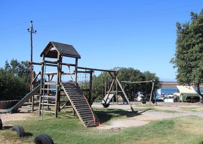 Kuifkopvisvanger Image