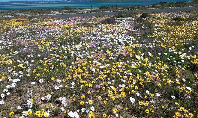 Shark bay hotel & spa