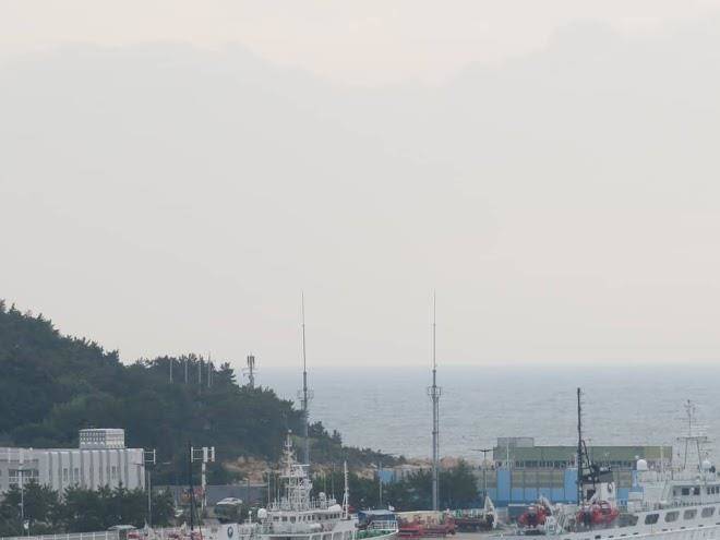 Brown dot gijang yeonhwari