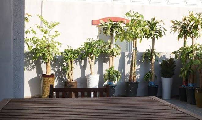 Business hotel haeundae s