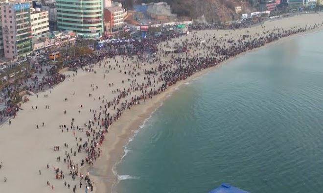 Brown dot songdo