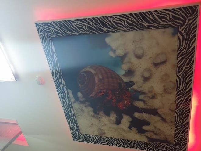 Motel ar