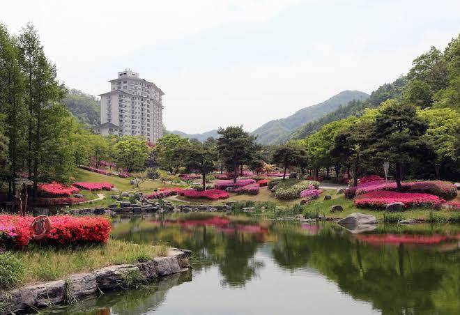 Elysian condo gangchon