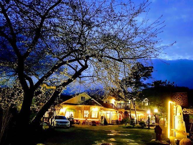 Yangpyeong korean log pension