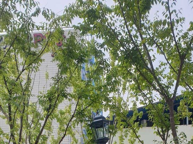 Hotel Yam At Andong Cultural Street Image