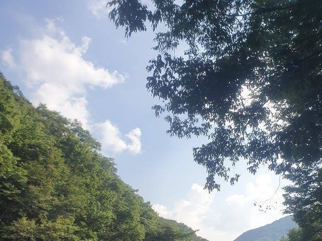 Yangsan chungrim oakvalley pension