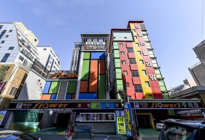 Sunflower hotel