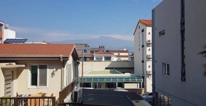 Jeju mimong
