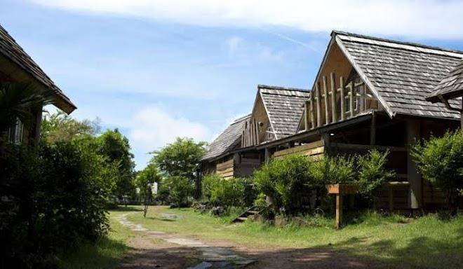 Log park hotel