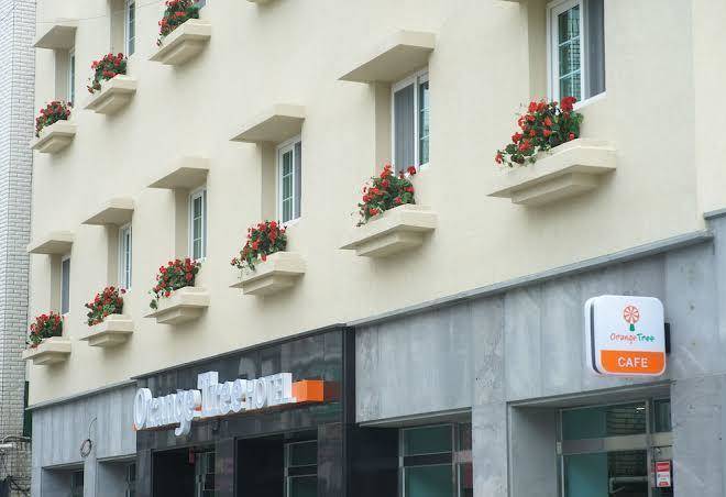 Orange tree hotel & cafe