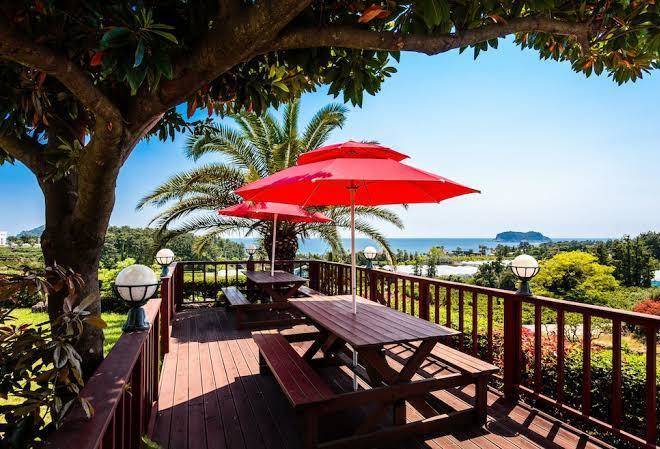 Beewool Chaewool Image