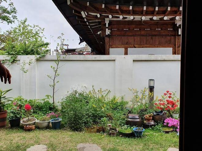 Moheon Ohsondoson Image