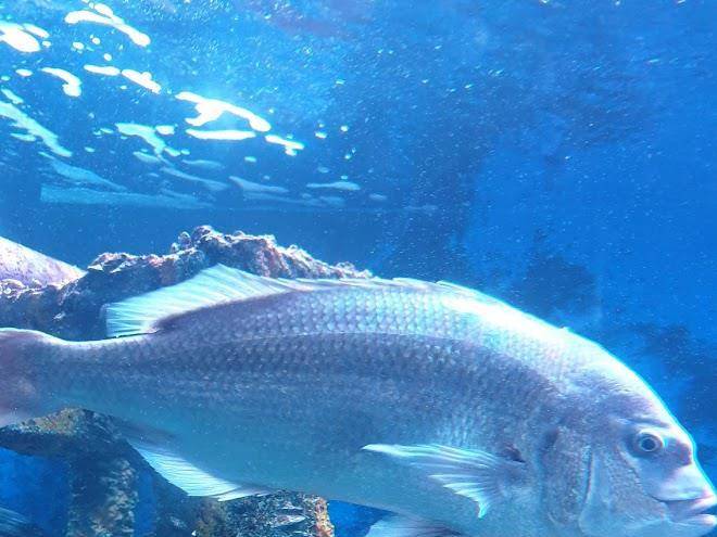 Hotel The Classic Yeosu Image