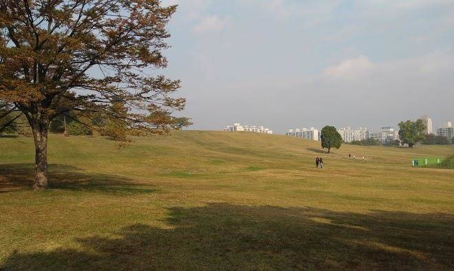 Olympia seoul