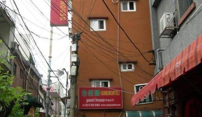 Songwontel