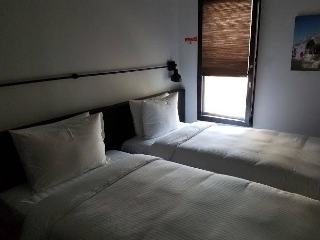 Golden Tulip M Image