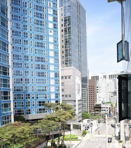Namsan forest in myeongdong
