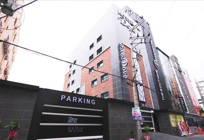 Dove hotel ulsan