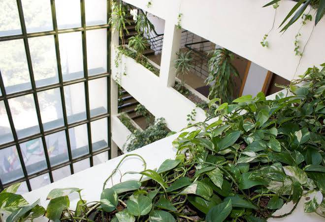 Ejidohotel