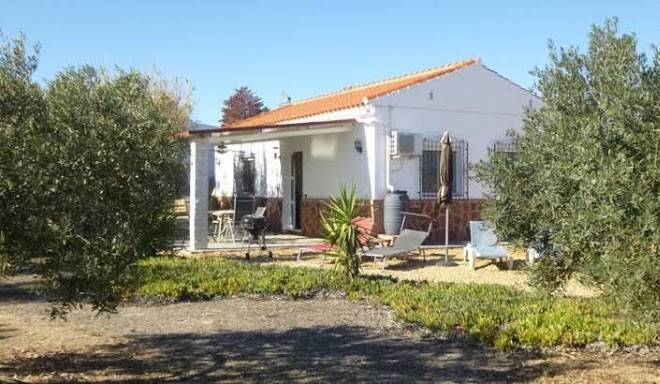 Finca arboleda
