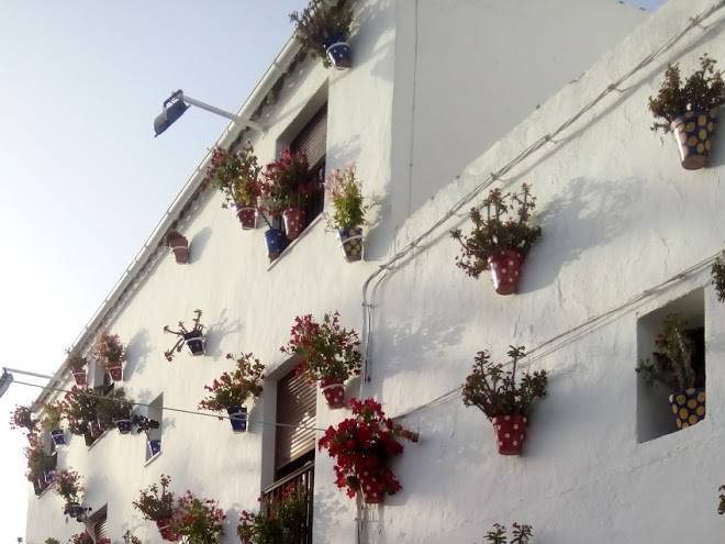 Hotel San Vicente Image