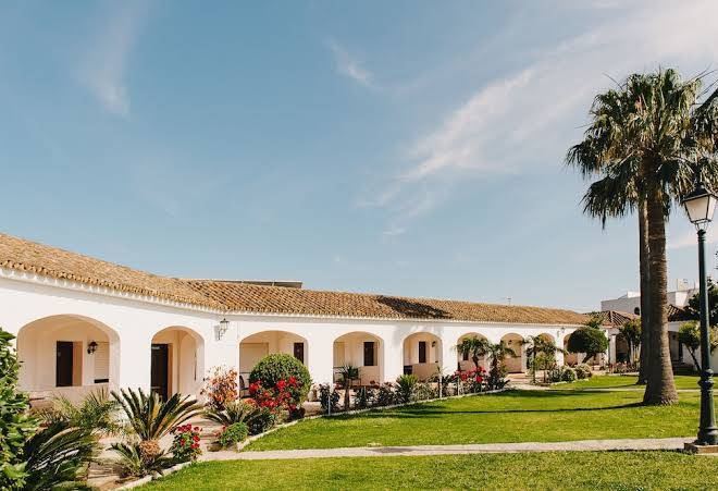 La codorniz