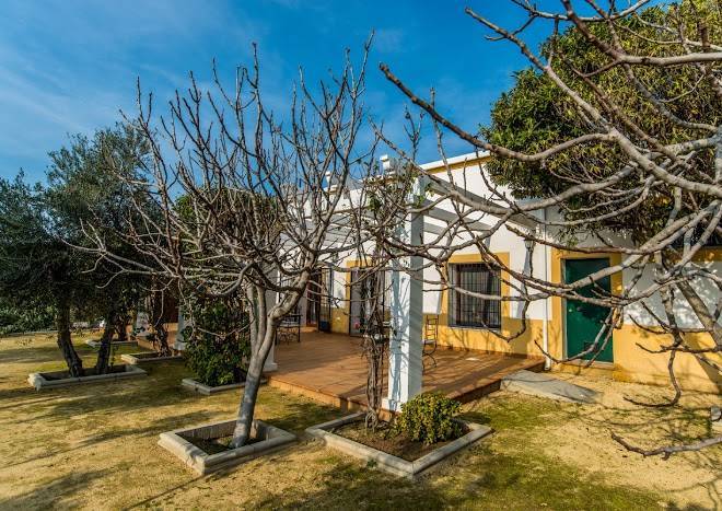 Olivar De San Telmo Image