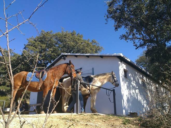 Tambor del llano