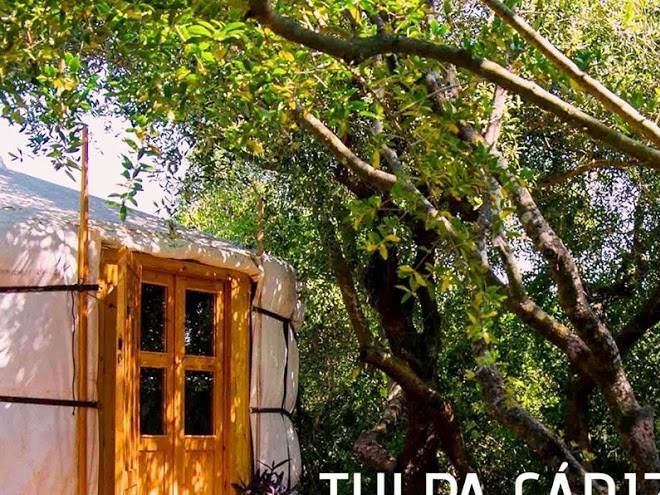Tulpa cadiz