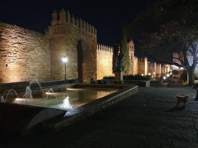 Beside the roman wall