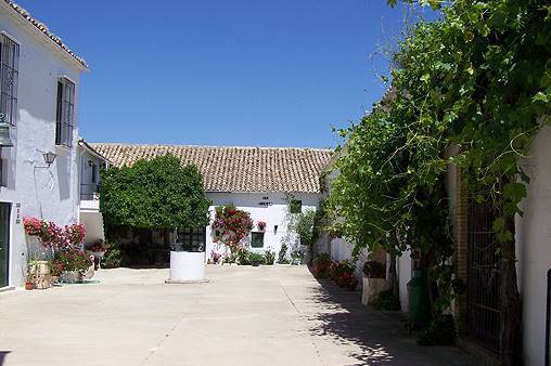 Cortijo El Pinar Image