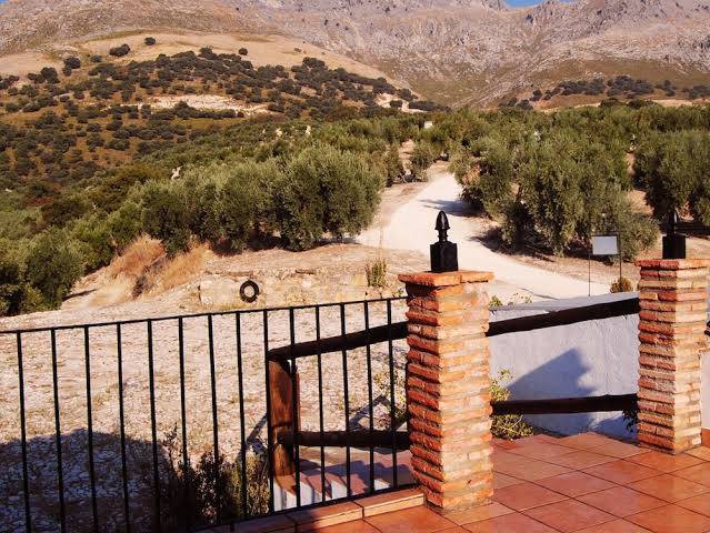 Cortijo Los Petronilos Image