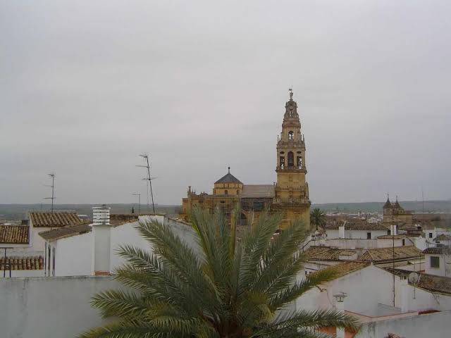 Hotel albucasis