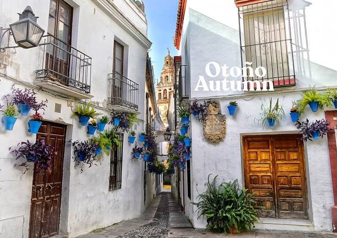 Hotel cordoba centro