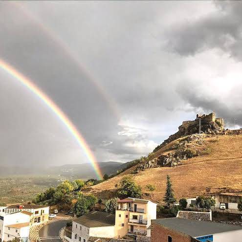 La casilla dalea