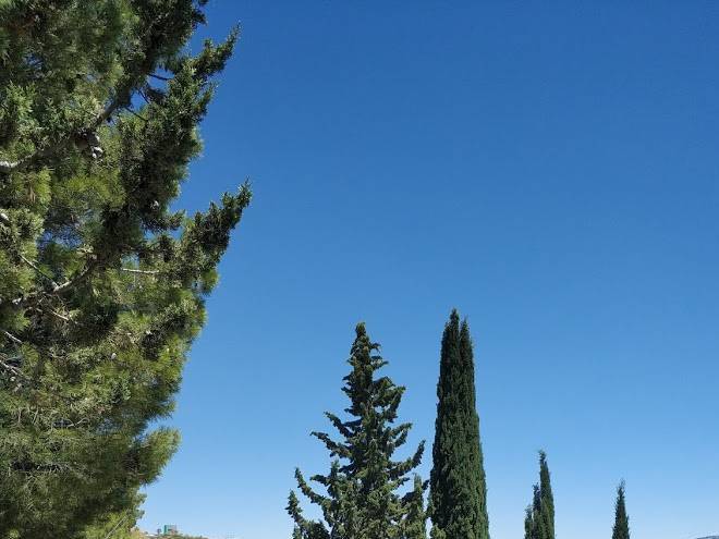 Club deportivo negratin