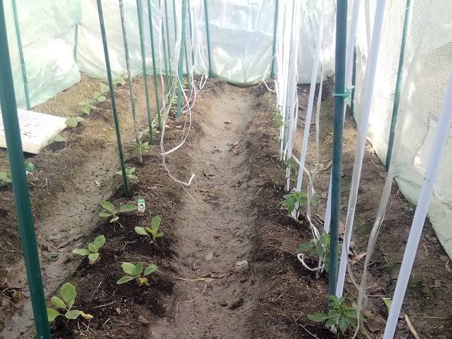 Cortijo La Era Image