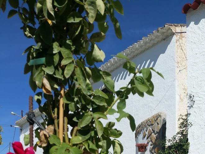 Cueva De La Abuela Image