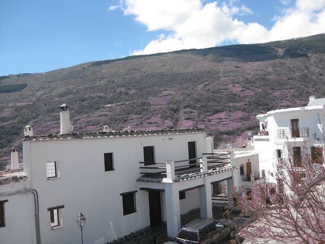 El cascapenas