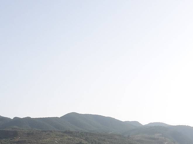 El pino de albunuelas